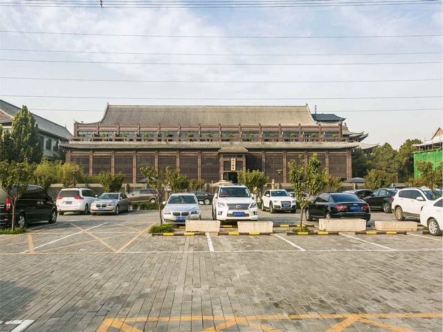 虹口区高级鱼池绿化