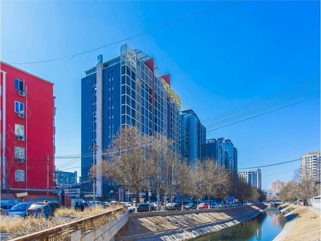 黑龙江有机小米多少钱一斤